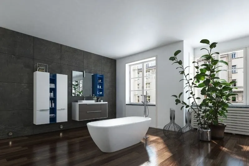 Bathroom Renovations Wollongong with big indoor plants